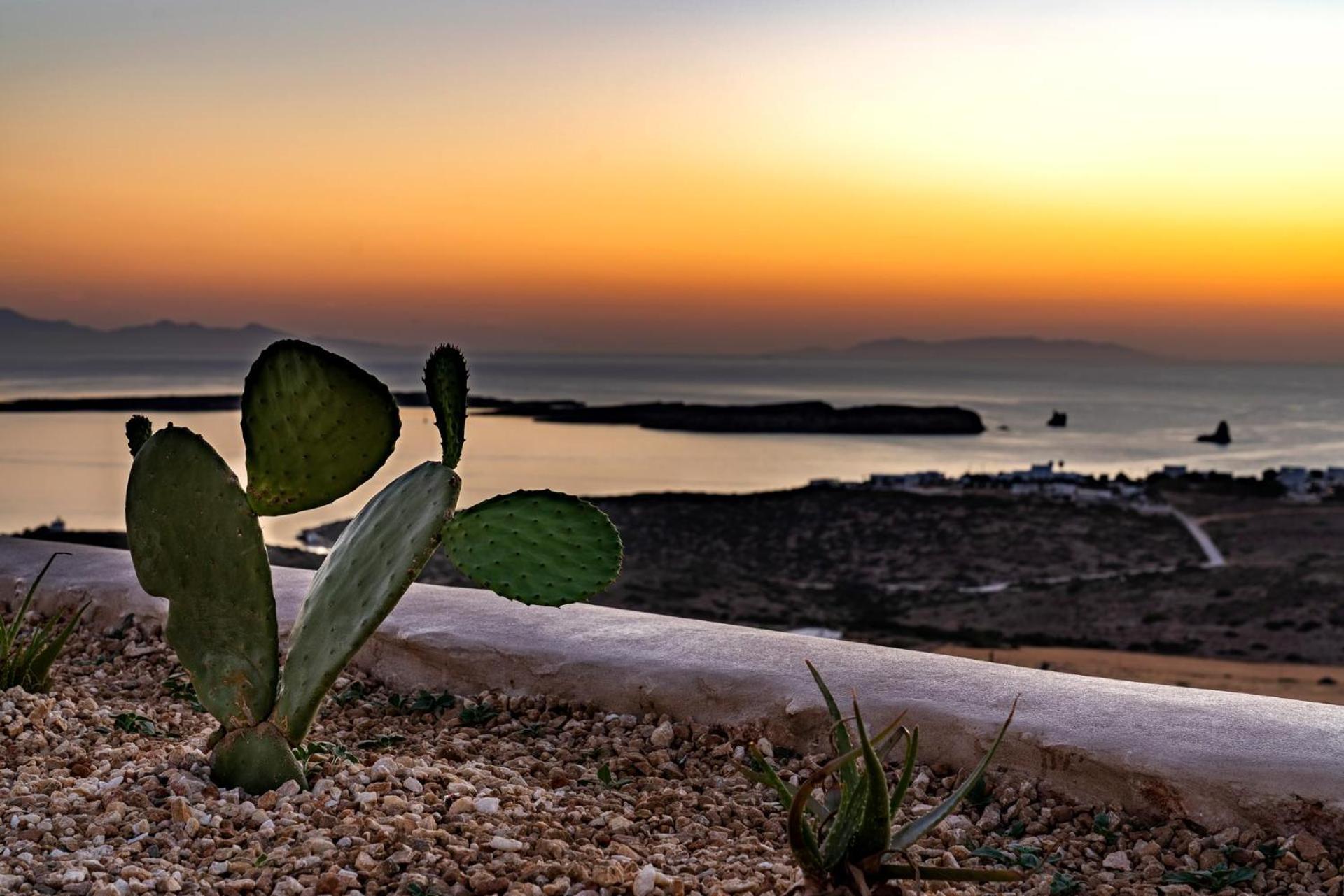 Mythic Paros , Adults Only Hotel Agia Irini  Phòng bức ảnh